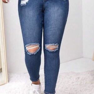 Classic Blue Distressed Skinny Jeans
